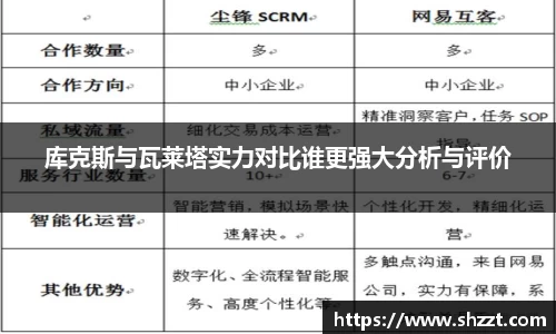 库克斯与瓦莱塔实力对比谁更强大分析与评价